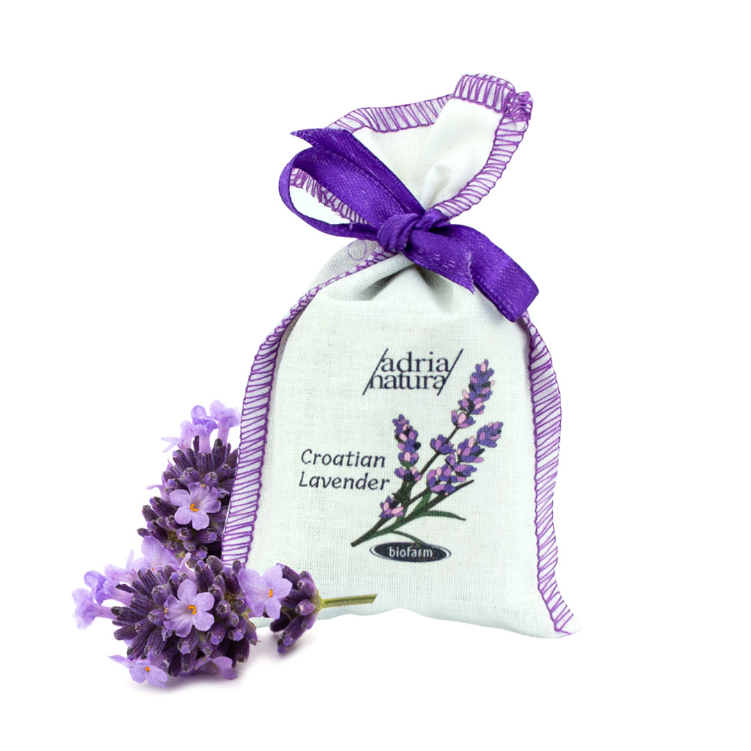 Dalmatian Gift Box